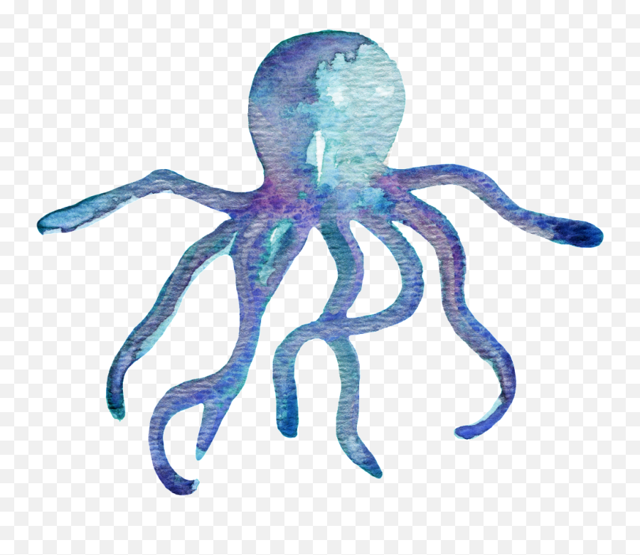 Cartoon Octopus Png Transparent - Octopus Water Color Png,Octopus Transparent Background