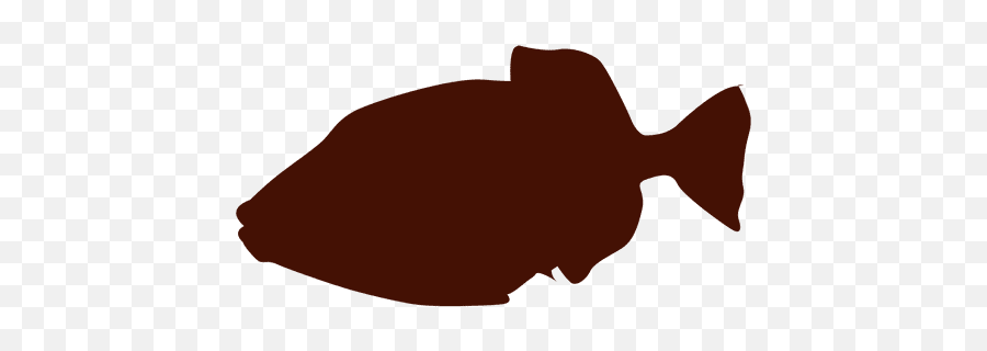Fish Silhouette - Fish Silhouette Transparent Png,Fish Silhouette Png