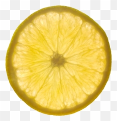 Backlit Lemon Slices Png Download - Lime Transparent