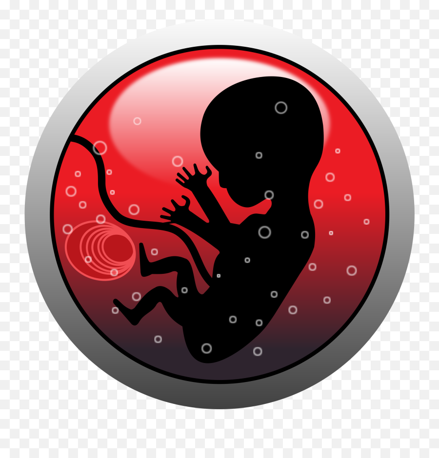 Png Transparent Baby In Womb - Abortion Clipart,Fetus Png
