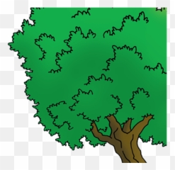 Index Of Wp - Contentuploads201803 Illustration Png,Caillou Png