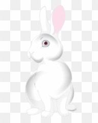 White Bunny Cartoon Png Clip Art Image