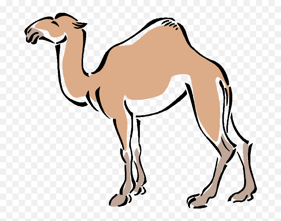 Camel Drawing Outline Free Download - Camel In Simple Art Png,Camel Transparent