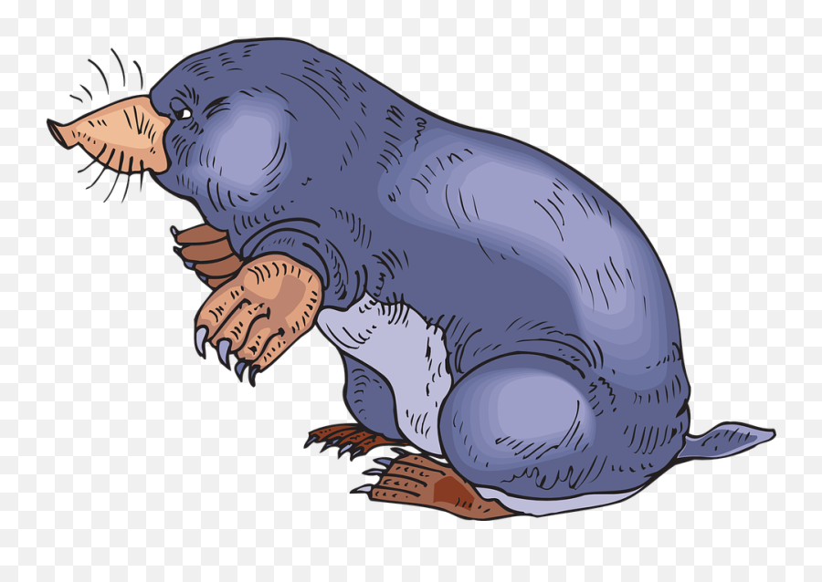 Ground Standing Animal - Free Vector Graphic On Pixabay Underground Mole Clip Art Png,Claws Png
