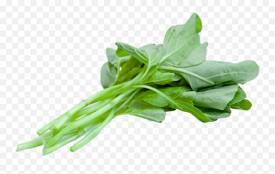 Download Chinese Spinach Png Image For Free - Spinach Png,Spinach Png
