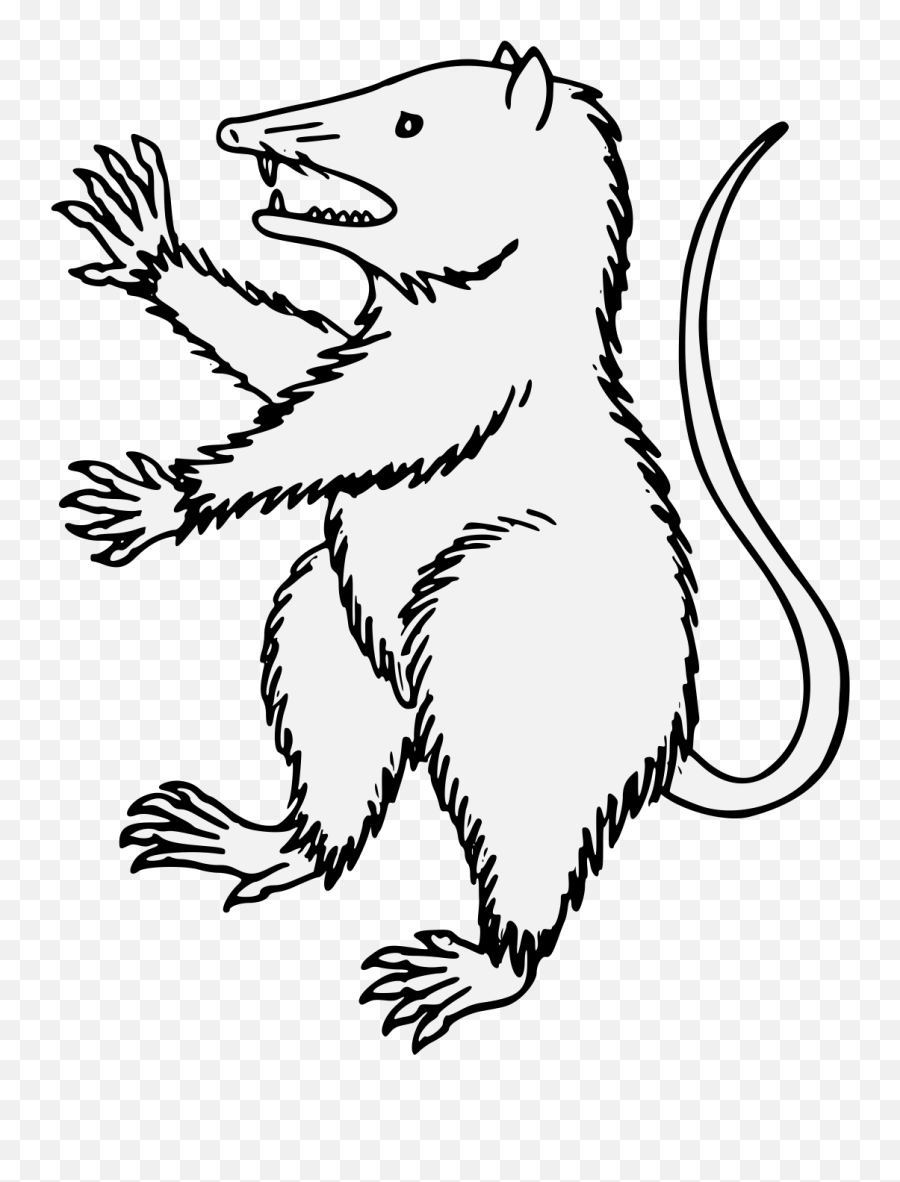 Opossum - Coat Of Arms Possum Png,Opossum Png