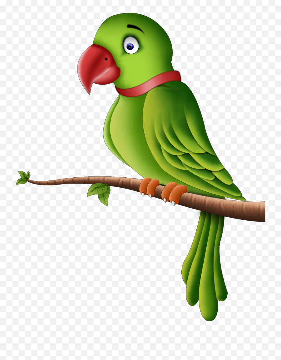Download - Parrotpngpic Free Transparent Png Images Icons Clip Art Of Parrot,Parrot Transparent