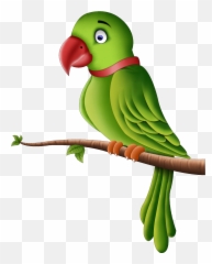 Download - ParrotPNGPic Free Transparent Images Icons Clip Art Of