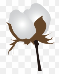 Download Hd Free Stock Cotton Clipart - Cotton Clip Art Png Cotton Clipart Png,Cotton Png