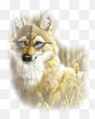 Clip Art Graphics - Coyote Car Graphic Png,Coyote Png