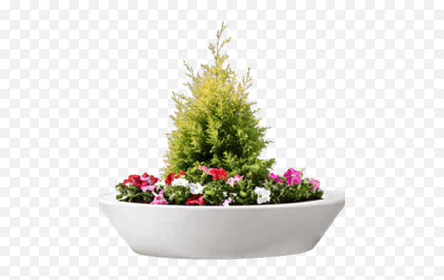 Fiber Glass Planters - Glass Full Size Png Download Seekpng Flowerpot,Planters Png