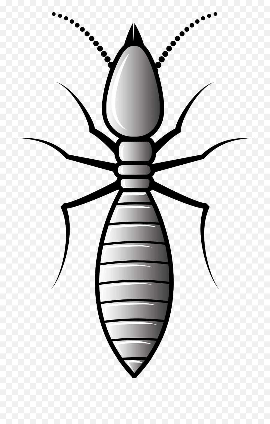 Clipart - Termite Clipart Png,Termite Png