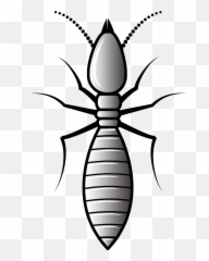 Clipart - Termite Clipart Png,Termite Png