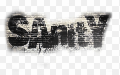 Wwe 2k17 Custom Titantron Entrance - Sanity Logo Png
