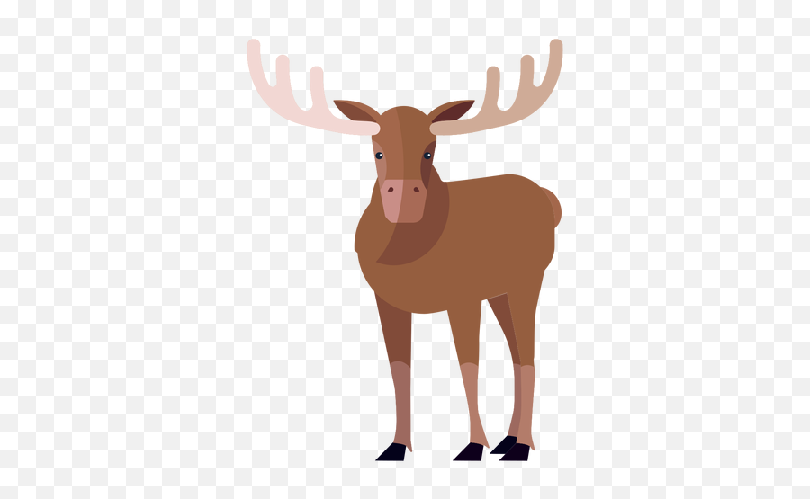 Moose Elk Antler Hoof Flat - Transparent Png U0026 Svg Vector Animal Figure,Moose Transparent