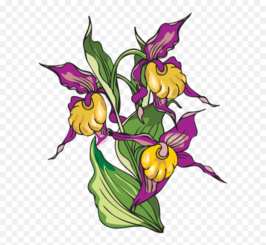 Download Hd Iris Flower Clipart - Clip Art Transparent Png Clip Art,Iris Flower Png
