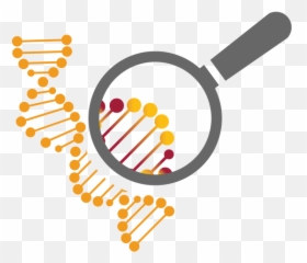 The Economic Case For Public Investment In Stem Cell - Stem Cell Research Png,Stem Png