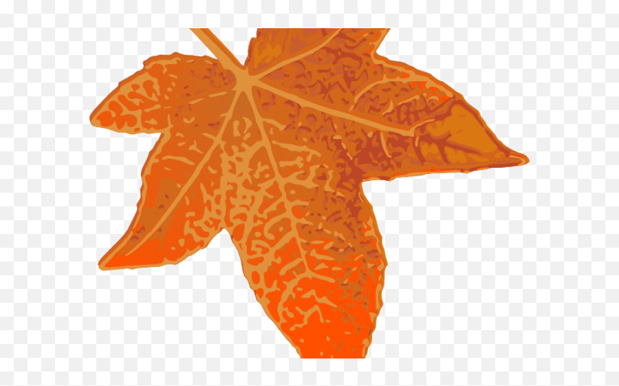 Download Hd Maple Leaf Clipart 7 Leaves - Sugar Maple Png,Maple Leaf Transparent Background