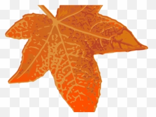 Download Hd Maple Leaf Clipart 7 Leaves - Sugar png