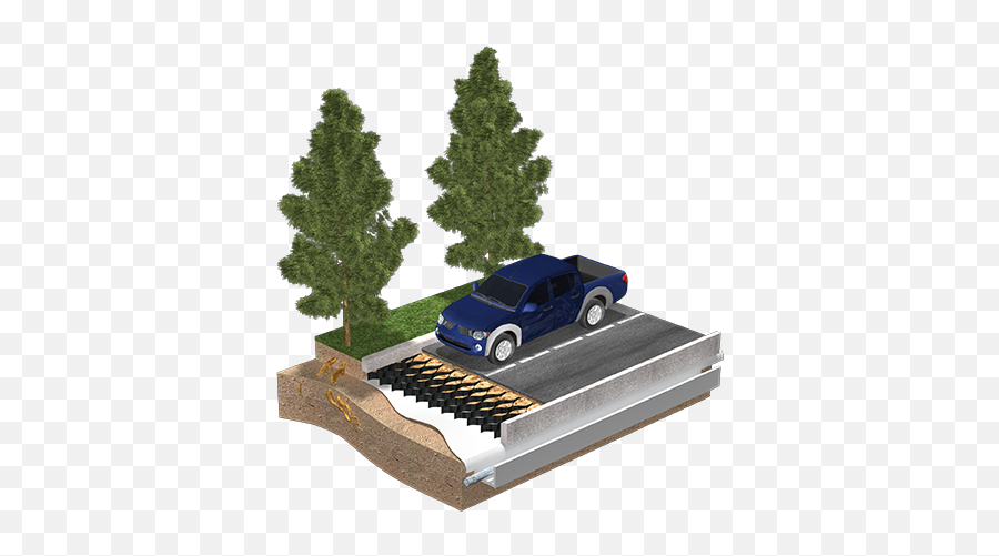 Tree Planting Season Tcs Geotechnics - Model Car Png,Tree Root Png