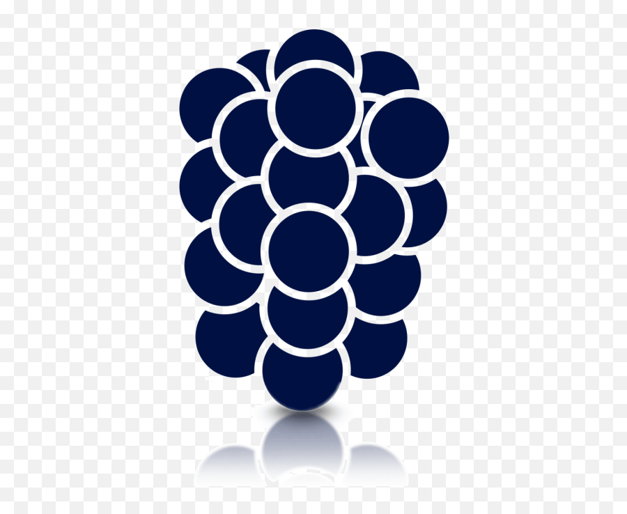 Prime - Jan Blackberry Bush Store Tomorrowu0027s Harvest By Dot Png,Blackberry Icon