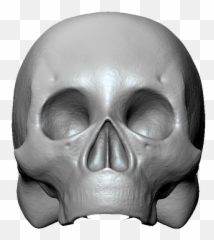 3d Modeling Sculpting - ELIZABETH DEANGELIS Scary png