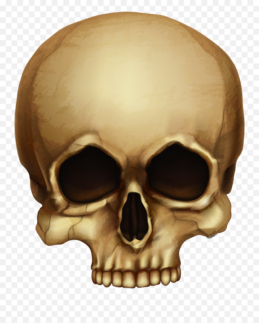 Human Skull Transparent Png Clipart - Halloween Skull Png,Skull Png Transparent