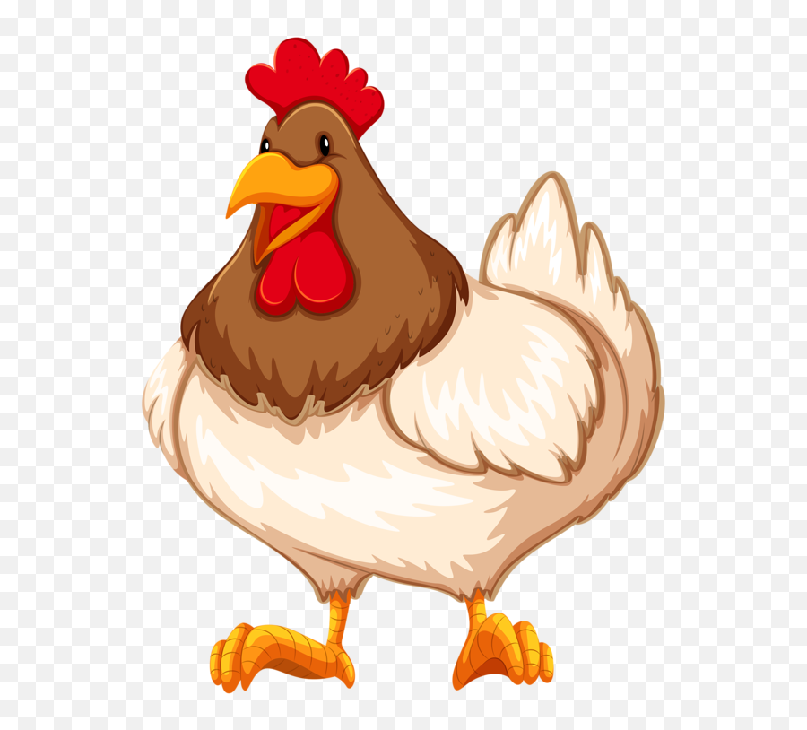 Cartoon Chicken Png Picture 500858 Farm Animals Clipart - Chicken Clipart,Chicken Png