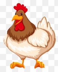 Cartoon Chicken Png Picture 500858 Farm Animals Clipart - Chicken Clipart