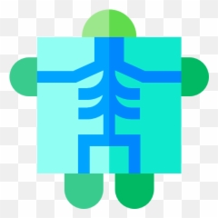 Free Icon X Ray - Vertical Png,Blue Ray Icon