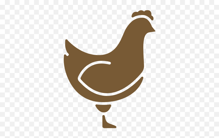 Home - Honey Brook Farms Culpeper Va Comb Png,Chicken Head Icon