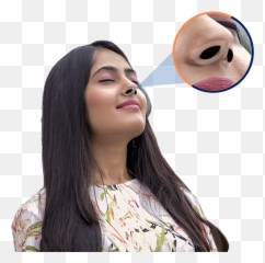 Nose Mask Png
