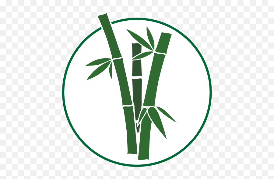 Bamboo Plants Hq For All Your Needs - Bamboo Png,Bamboo Icon