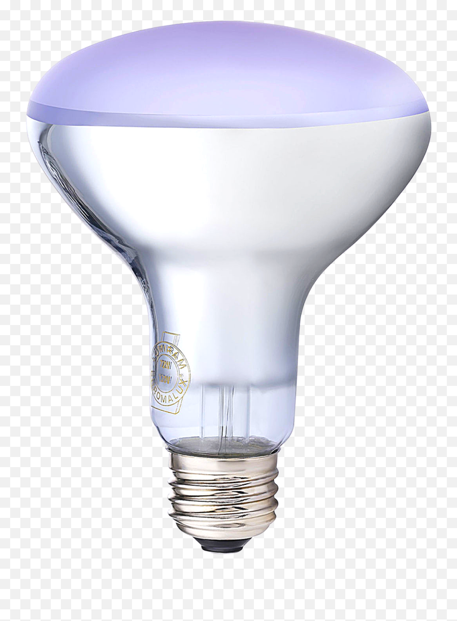 The Healthiest Light Bulbs - Incandescent Light Bulb Png,Light Bulbs Icon