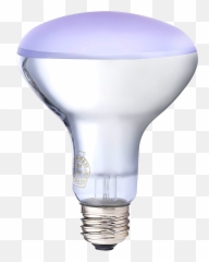 The Healthiest Light Bulbs - Incandescent png