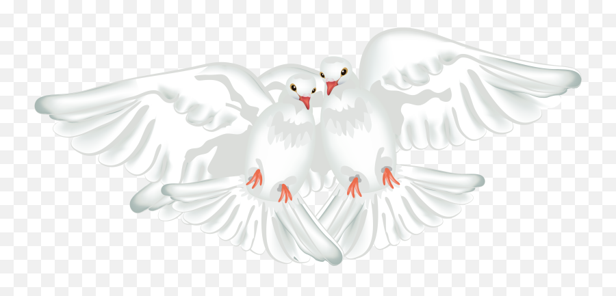Free White Dove Cliparts Download - Transparent A White Dove Png,Dove Transparent