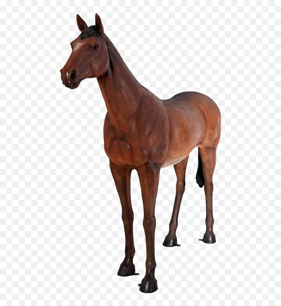 Caballo - Life Size Model Horse Png,Caballo Png