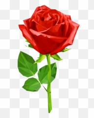 Rose Clipart Red Transparent Free For - Image Full Size png
