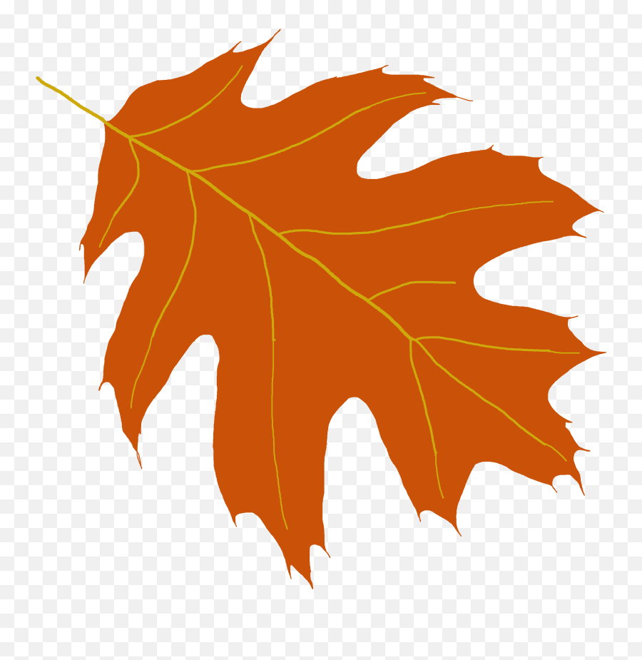 Oak Leaf Clipart - Transparent Oak Tree Leaf Png,Maple Tree Png