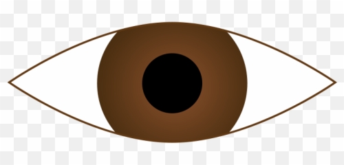 Eyes Eye Clipart - WikiClipArt Brown Png