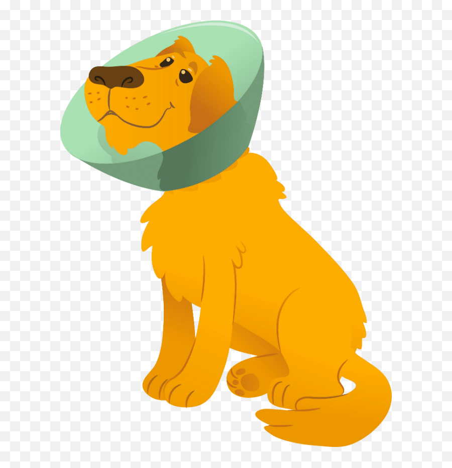 When To Spay A Golden Retriever Dog Breeds List - Cartoon Png,Golden Retriever Transparent