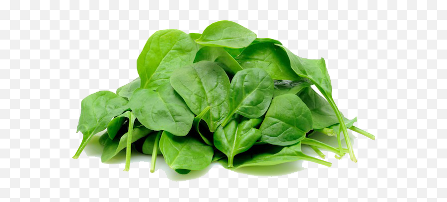 Spinach Png 1 Image - Baby Spinach,Spinach Png