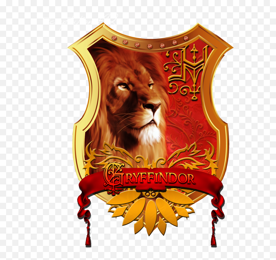 Gryffindor Hermione Granger T Shirt - Lion Png,Gryffindor Png