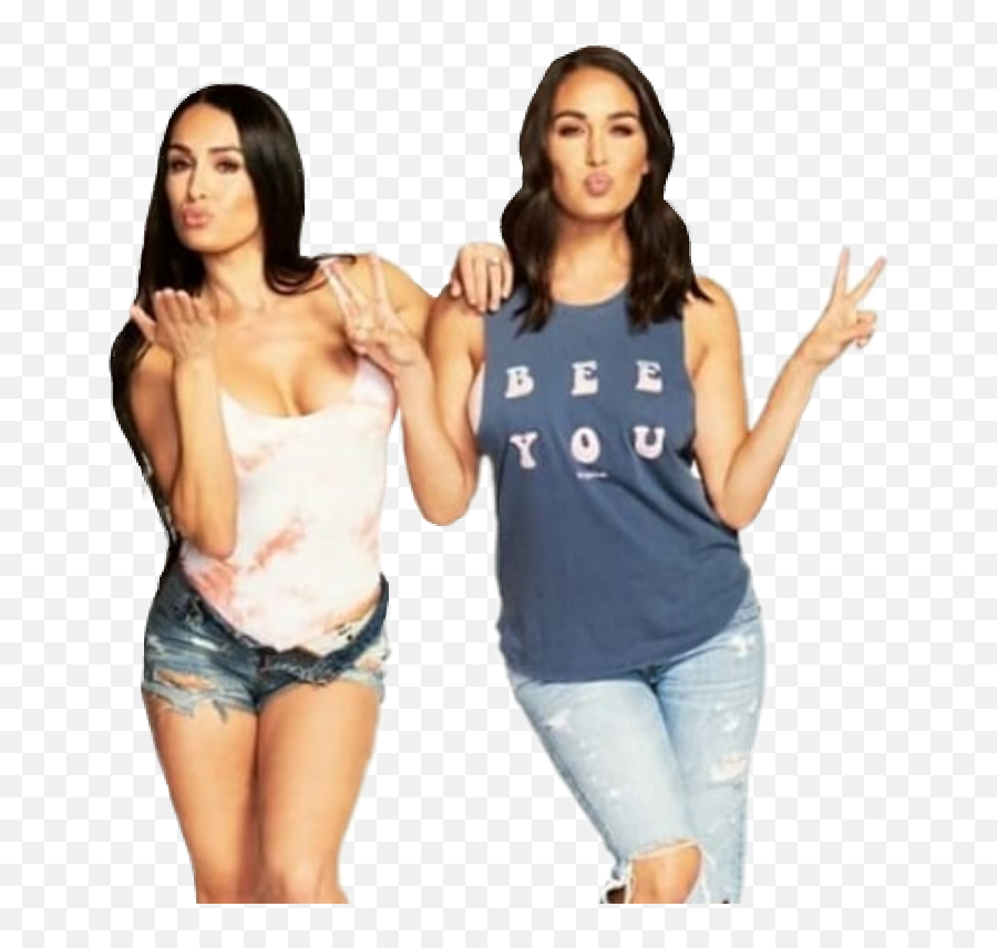 Nikkibella Briebella Birdiebee - Imagenes De Nikki Brie Bellas Armys Png,Brie Bella Png