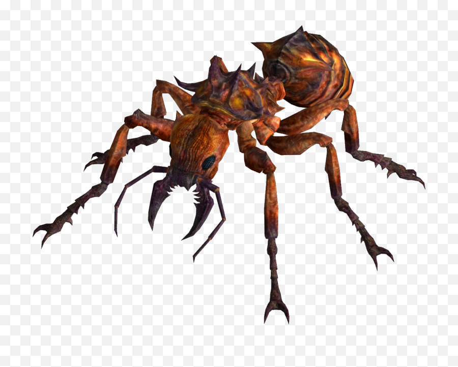 Fire Ants Transparent Png Image - Fallout New Vegas Fire Ant,Ants Png