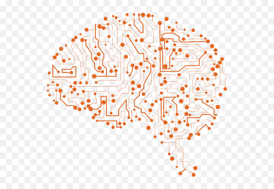 Nmda Receptor In Brain And Nervous - Nervous System Neuron Brain Cell Nmda Png,Nervous System Png