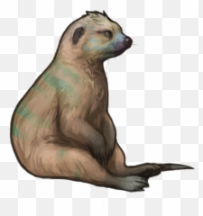 Index Of Eventnkmpaidraf - Otter Png,Mohawk Png