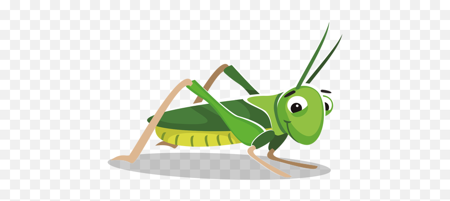 Grasshopper Image With Transparent Background Clipart - Transparent Grasshopper Clipart Png,Transparent Background Clipart