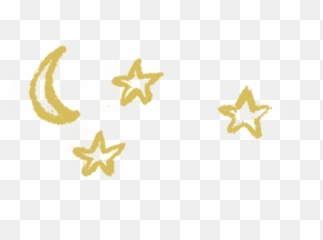Contact U2014 Wild Child Gym - Gold Star Doodle Transparent png