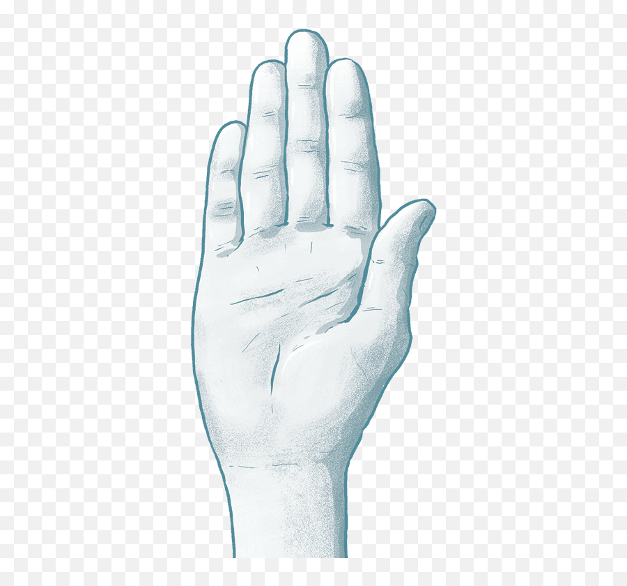 Download Hd The Good Soldier White Dove Png - Sketch Sign Language,White Dove Png